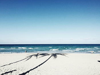 biały piasek, spokojna plaża, fale, cienie palmy, tropikalna ucieczka, scena na plaży, widok na ocean, wakacje na plaży, tropikalna plaża, Relaksowanie na plaży