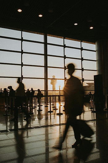 airport terminal, sunset, sunrise, passengers, silhouettes, travel, walking, people, airport, terminal windows, travel essence