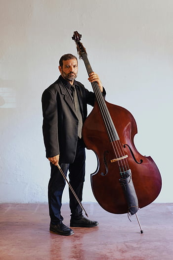 Mann im schwarzen Anzug, Kontrabass, Musiker, Studioeinstellung, Schwarzer Anzug, Stehen, Doppel -Bass -Spieler, Musikinstrument, Innenfotografie, formelle Kleidung, Studioportrait