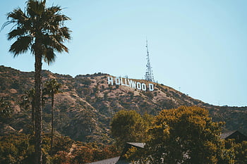 Hollywood Sign, Los Angeles, California, scenic view, hills, palm trees, landmark, outdoor, travel destination, iconic, Hollywood Hills