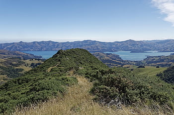 new Zealand, banks Peninsula, peninsula, akaroa Bay, bay, water, canterbury, christchurch, south Island, nature, landscape