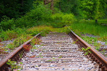 brani, treno, rotaie, Ferrovia, rotaia, stazione, traffico, trasporto, binari della ferrovia, viaggiare, morbido