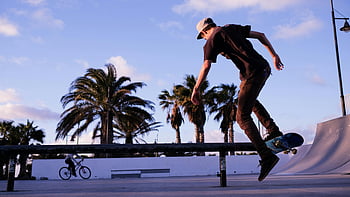 skateboarder, trick, rail, outdoor skate park, daytime, palm trees, skateboarding, man playing skateboard, skate park, outdoor activity, day time