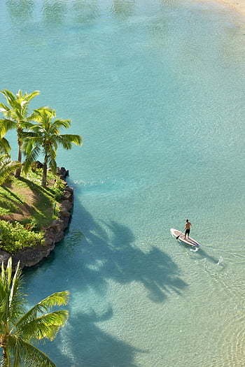 man paddleboarding, tropical lagoon, Honolulu Hawaii, serene aerial view, sea shore, paddle board, clear water, palm trees, beach activity, outdoor recreation, vacation destination