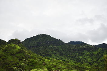 berg-, natuur, Bos, Bali, Indonesië, landschap, bossen, tropisch