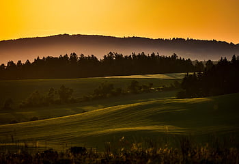 krajina, scenérie, scénický, Příroda, louka, les, stromy, listy