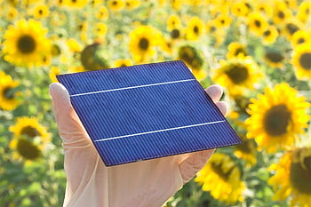 solární panel, solární energie, obnovitelná energie, výroba elektřiny, slunečnicová pole
