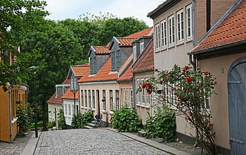bézs házak, barna házak, festett házak, macskaköves utca, Odense Dánia, színes házak, festői kilátás, európai építészet, hagyományos házak, utcai jelenet, piros tetők