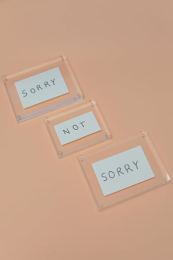 Sorry Not Sorry, laminated paper, transparent frames, minimalist flat lay, text design, peach background, modern typography, flat lay photography, simple design, text art, paper art