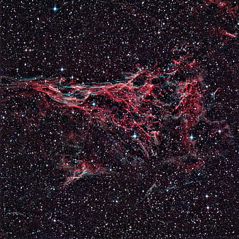 Veil Nebula, Pickering's Triangle, Astrophotography, ZWO ASI533MC Pro, Optolong L Enhance, Losmandy GM8, Supernova Remnant, Deep Sky, Star Field, Cosmic, Space Photography