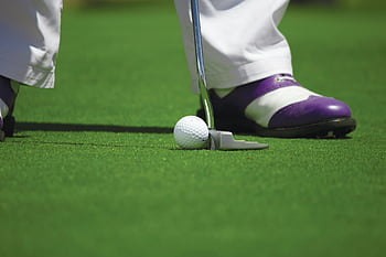 golf, white pants, putting, green course, golf player, putter, golf ball, golf shoes, purple shoes, golfing, sports