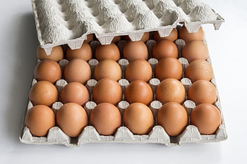 æg, pakke, tara, ernæring, mad, pap, tæt, køb, produkt, påske, skrøbelig