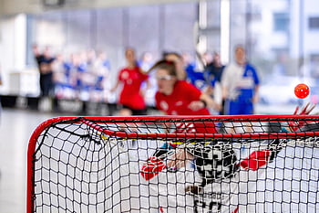 unihockey, florbal, podlahový hokej, sport, brankář, tým, fotbalová branka, tělocvična, Fotbal
