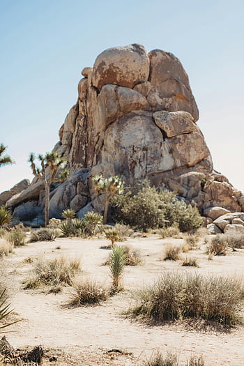 Joshua Tree National Park, California, rock formation, Joshua trees, desert landscape, clear blue sky, United States, dramatic rocks, natural scenery, outdoor photography, scenic view