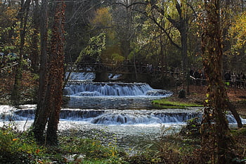 verde, agua, natureza, krajina, lago