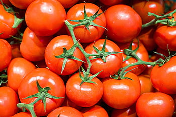 pomodori, verdure, cibo, salutare, pomodori rossi, nutrizione, biologico, produrre