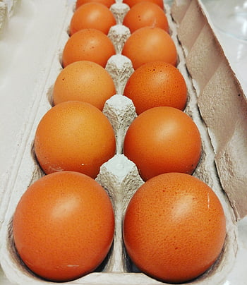 卵、 エッグボックス、 朝ごはん、 褐色、 段ボール、 フード、 焼く、 クック、 料理、 食べる、 卵殻