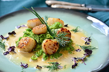 scallops, seafood, shellfish, food, mushy Peas, sauce, saffron, gourmet, dish