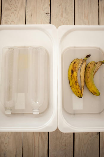 separación de basura, contenedores blancos, botellas de plástico, cáscaras de plátano, clasificación de residuos, vista aérea, reciclaje, gestión de residuos, prácticas sostenibles, Respetuoso del medio ambiente, clasificación de contenedores