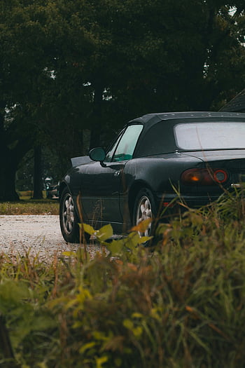 Mazda Miata MX5, πίσω όψη, αγροτικό δρόμο, φύλλωμα, κομψός σχεδιασμός, σπορ αυτοκίνητο, σταθμευμένο αυτοκίνητο, εξωτερική ρύθμιση, μετατρέψιμο αυτοκίνητο, φόντο της φύσης