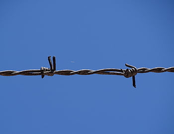 barbed Wire, delimitation, limitation, barrier, border, protection, obstacle, close Up