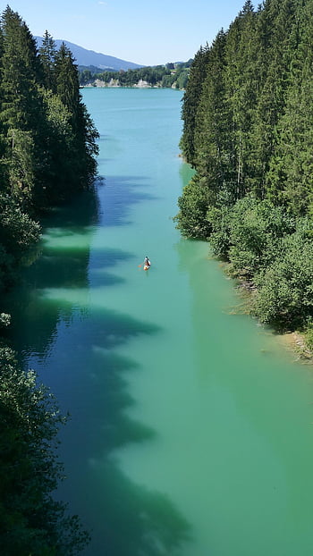 山岳、 パドルボード、 アルゴイ、 バイエルン、 休暇、 自然、 高山の麓、 Lake forggensee、 水、 風景