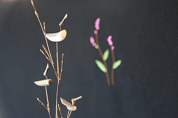 솟대, 장식, 새, 카페, 관광, 한국