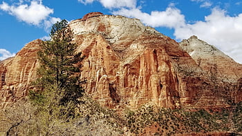 zion, národní park zion, park, kaňon, divočina, hory, krajina, utah, skály, scénický, Příroda