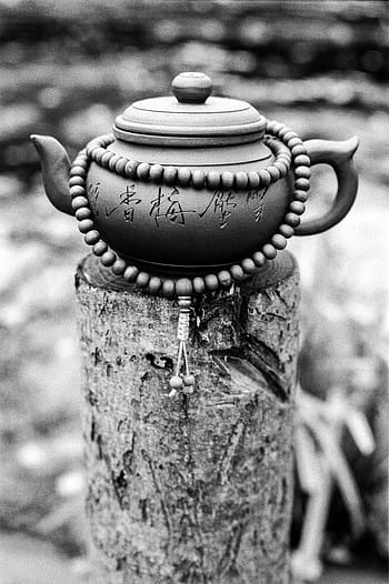 กาน้ำชา, Mala, ลูกปัดอธิษฐาน, ลำต้น, ดำและขาว, ฟิล์ม, Ilford Pan, 400, minolta x-700, Rokkor 50 มม., 1.4