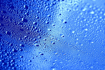 dew, wet, glass, nature, hd Wallpaper, windows Wallpaper, Wallpaper 1920x1080, laptop Wallpaper, cool Backgrounds, mac Wallpaper, full Hd Wallpaper