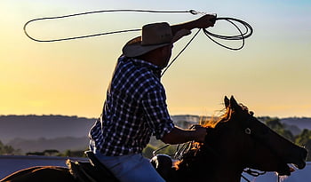 kovboj, Rodeo kůň, kůň, čepice, zvíře, rodeo, Příroda, prado