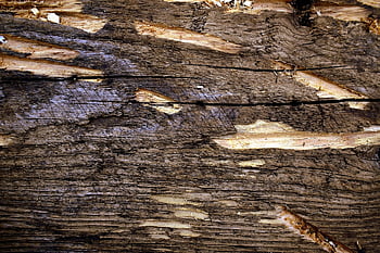 เนื้อไม้, คณะกรรมการ, เนื้อผ้า, ของแข็ง, วัสดุ, พื้นผิว, ขรุขระ