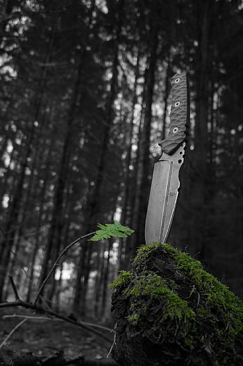 knife, wild, forest, nature, background, wilderness, wood, adventure, compass, travel, the Process