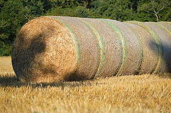 hay Bales, straw Bales, harvest, agriculture, nature, field, country Life, landscape, straw Field, straw, rural
