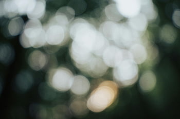 - Blurred lights  
- Circular patterns  
- Muted colors  
- Abstract bokeh  
- White dots  
- Circular bokeh  
- Abstract photography  
- Muted palette  
- Soft focus