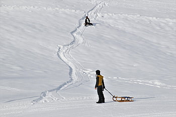 white, snow, sled, winter, active, vacations, winter Sports, nature, snowy, toboggan Run