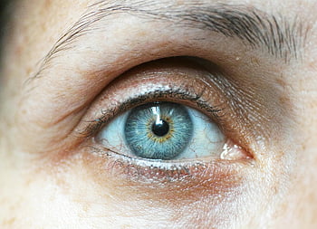 lasciato l'occhio umano, occhio blu, Primo piano dettagliato, occhio di donna, dettagli intricati, primo piano degli occhi, occhio umano, Dettagli degli occhi, occhio macro, trama degli occhi, Caratteristiche degli occhi