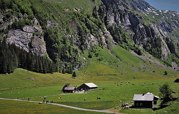la regione di santis, natura, cappello, villaggio alpino, passeggiate in montagna, rocce, vista distante, fienile, la cabina in montagna, divario, villaggio di montagna