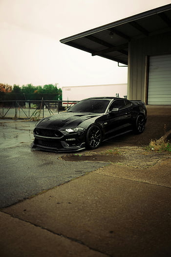 black Ford Mustang, urban setting, wet street, Nashville, power, elegance, sleek design, Mustang GT, parked car, cityscape, wet pavement