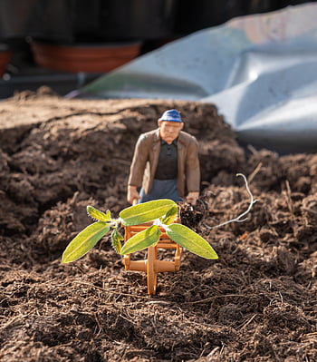 hračka, práce na zahradě, miniaturní figurky, kolečko, muž, rostlin, rajčata, semenáčků, doprava, zahradní půdy, podlaha