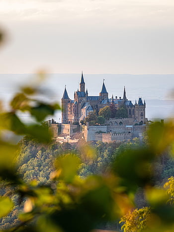 hrad, kopec, stromy, hory, věže, budova, architektura, opevnění, citadela, pevnost, ruiny