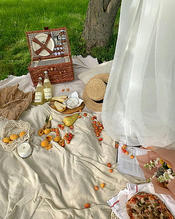 pique-nique, panier en bois marron, nappe de pique-nique, fruits, du vin, panier en osier, pique-nique en plein air, arbre, pique-nique charmant, configuration de pique-nique, scène de pique-nique