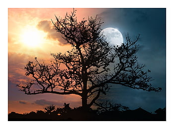 sun And Moon, sun Moon, fantasy, surreal, magic, dream, landscape, fantasy Landscape, mystery, mysterious, atmosphere
