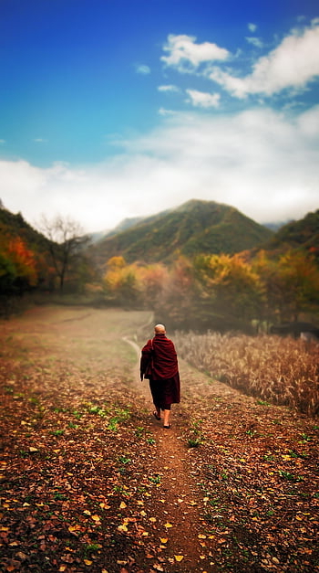 china, monk, theravada Buddhism, buddhist, autumn, nature, xi'an, outing, travel, landscape
