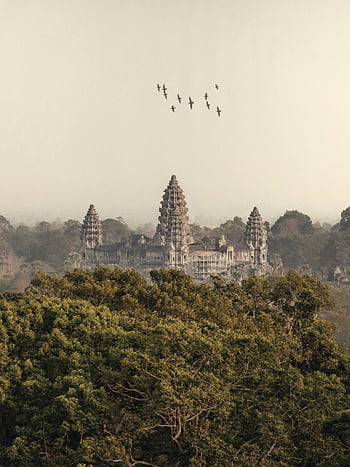 Angkor Wat, Cambogia, uccelli volanti, alberi verdi, tempio, natura, scena tranquilla, architettura antica, sito storico, Sud-est asiatico, destinazione del viaggio