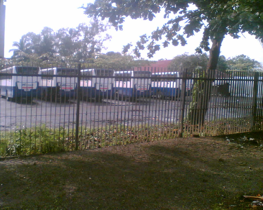 Dti, Vládní vozidlo, kyvadlový autobus, Roxas Blvd., isuzu, Almazora, Ministerstvo obchodu a průmyslu, autobusů, parkoviště, plot, stromy