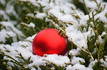 červená cetka, vánoční koule, sníh, zimní, Studený, Vánoce, Příroda, vánoční motiv, Vánoční čas, Adventní období, vánoční dekorace
