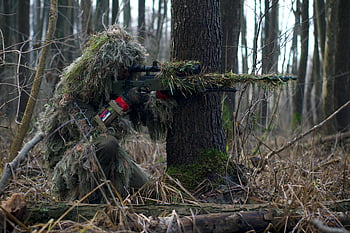 tireur d'élite de soldat, visée, lunette de visée, forêt, équipement de camouflage, forêt dense, militaire, chasse, de plein air, la nature, faune