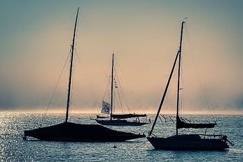 Boote, See, Segelboote, Segeln, Masten, Takelwerk, Tauwerk, Schiffe, Nebel, Dunst, Natur