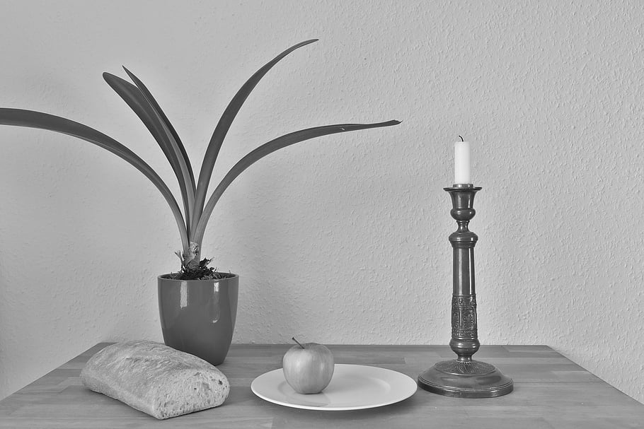 stilleben, lys, plante, vase, brød, natur, æble, plade, bord, hverdagen, Grå liv
